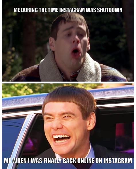 dumb and dumber memes